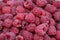 Red berries of raspberry in heap. Pile of ripe berries