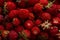 Red berries small woodland strawberry, background, close up