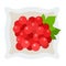 Red berries of viburnum in a plate vector icon flat isolated