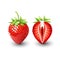 Red berry strawberry and a half of strawberry, fruit, transparent, Vector