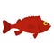 Red betta fish icon