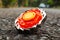 red beyblade is on the asphalt