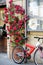 Red bicycle and blooming roses on old street of the famous Pitigliano town. Beautiful italian towns and villages. Etruscan