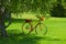 A red bicycle found under the tree in the farm in Bariloche, Argentina