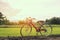 Red bicycle parked in meadow on a sunny morning