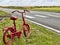 Red Bicycle on the Roadside