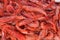 Red big king shrimps prawns in fish market selling in turkey antalya