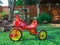 Red bike tricycle in the garden park playground at home flare light green grass.