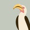 Red- billed hornbill bird vector illustration flat