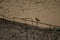 Red-billed starling perched on a metal pole in an urban area in Deyang, China