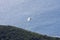 Red-billed tropic bird flies over Lord Howe Island