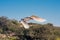 Red-billed Tropicbird