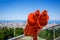 Red binoculars on the observation deck for tourists.