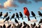 red bird nestled among a sea of black birds, contrast emphasized by a singular vibrant hue against monochrome backdrop