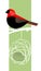 Red bishop bird