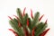 Red bitter chili pepper in the form of a christmas tree on a white clean background for text