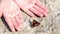 Red and black butterfly on the sand