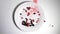 Red and black currant berries fall into a beautiful plate. Slow motion currant berries falls on a white plate top view.