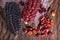 Red and black heirloom corn cobs closeup