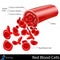 Red Blood Cells