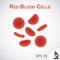 Red blood cells ( flat design ) on vignette background