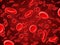 Red blood cells. Medical hematology vector background with 3d macro erythrocytes