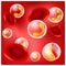 Red blood cells and white blood cells on red background