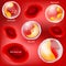 Red blood cells and white blood cells on red background