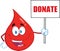 Red Blood Drop Cartoon Mascot Character Holding Up A Blank Sign With Text Donate