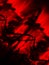 Red Blood  jittery cinematic paint liquid spread abstract vivid background wallpaper graphic art