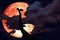red blood moon back silhouette dinosaur in ancient park dark night heap cloud
