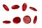 Red blood set,health care concept cardiovascular diseases and hypertension and medical,red blood cells,stem cell human cell on