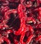 Red bloodworm worm as a background.