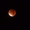 Red bloody moon