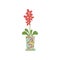 Red Blooming House Plant Growing in Cute Flowerpot, Design Element for Natural Home Interior Decoration Vector