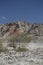 Red blooming ocotillo plant with mountains in the background