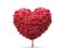 Red blossom tree in heart shape with happiness isolated on pure white background. Valentine tree for decoration romantic concept