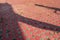 Red and blue colored pavement brick with green weeds and big shadows