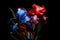 Red and blue irises, photorealistic black background