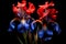Red and blue irises, photorealistic black background