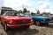 Red and blue Mustangs
