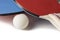 Red and Blue Ping Pong Paddles - Closeup On White