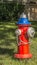 Red Blue and Silver Fire Hydrant