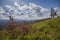 Red blueberry shrubs, mountains and expressive clouds