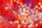 Red blurry and star shape abstract background.