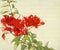 Red Bougainvillea Branch on Bamboo Background