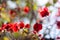 Red bougainvillea flowers - ornamental flower