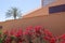 Red bougainvillea flowers terracotta brown wall