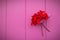 Red bouquet on pink window, landscape