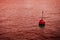 Red bouy on a calm bloody lake - concept image with copy space